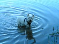 Klik op de foto voor groter formaat